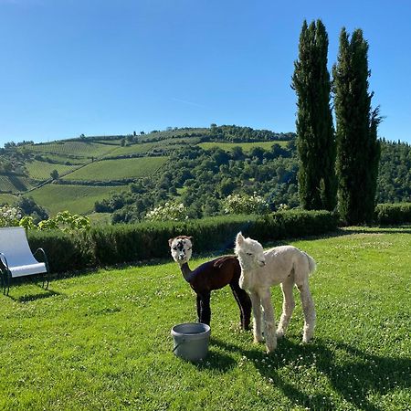 Villa Rignana Chianti Estate, Pool, Tennis,Cook Греве-ин-Кьянти Экстерьер фото